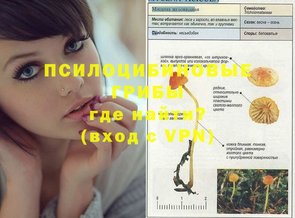 спайс Вязники
